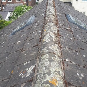 Roof Cleaning Services