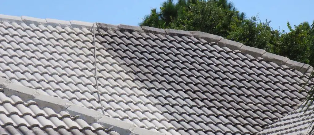 Roof Cleaning Services