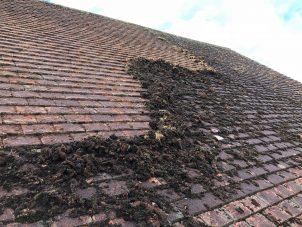 Leigh Roof Cleaning