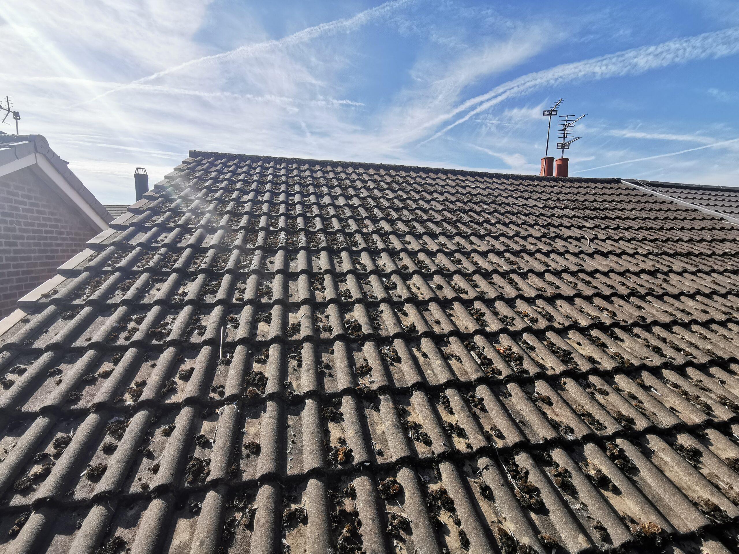 Roof cleaning in ALTRINCHAM