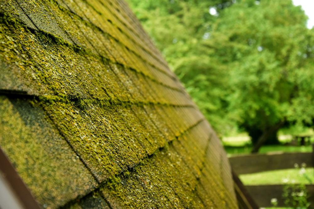 mossy roof, moss removal, outside cleaning services, pressure cleaning, outside cleaning services, stockport, exterior cleaning, roof cleaning pressure washing, Roof Cleaning in Stockport